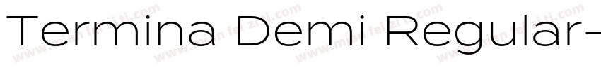Termina Demi Regular字体转换
